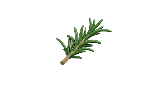 Rosemary